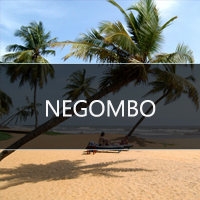 colombo